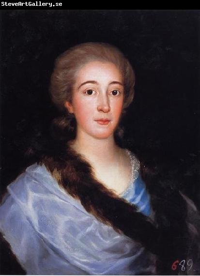 Francisco de Goya Portrait of Dona Maria Teresa de Vallabriga y Rozas